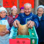 Como funciona o sistema político da China?