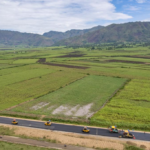 “Rota do açúcar” construída pela China impulsiona o desenvolvimento no oeste do Quênia
